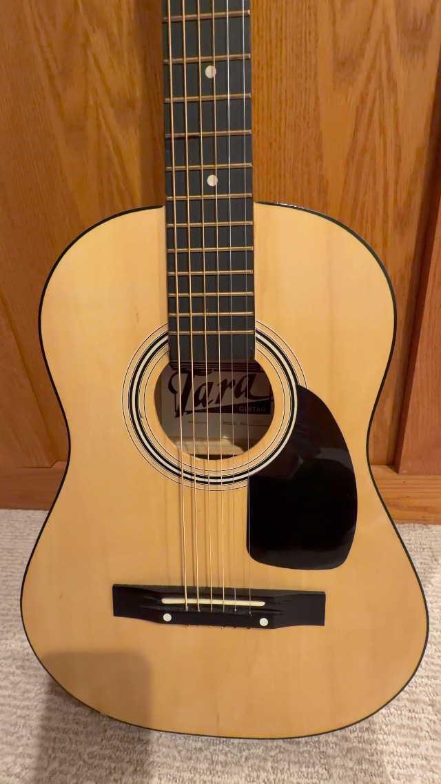 Amazon.com: Ernie Ball: Earthwood Phosphor Bronze